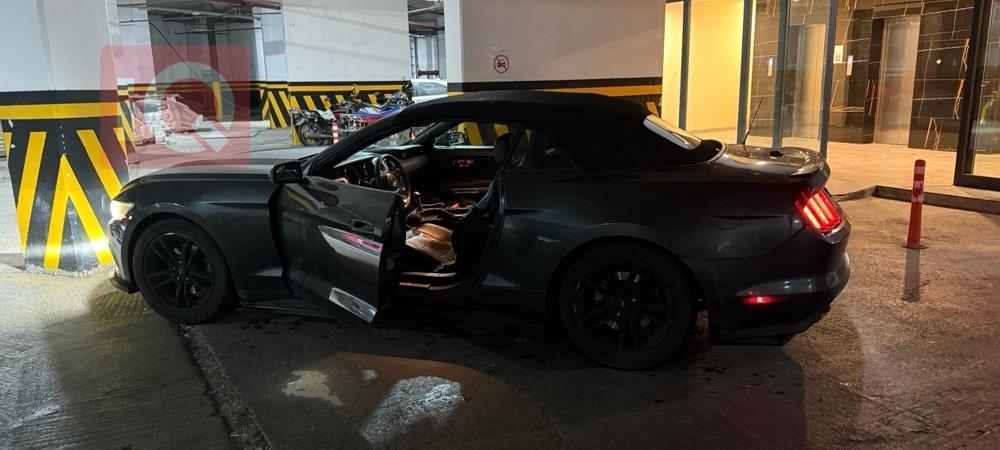 فۆرد مۆستانگ